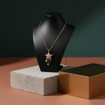 Kayıp Yıldız Kolye