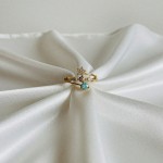 Galaksi Sarmalı Yüzük