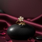 Sonsuz Bahar Yüzük