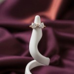 Fiyonk Işıltısı Yüzük