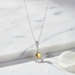 İkili Yıldız Kontrast Kolye